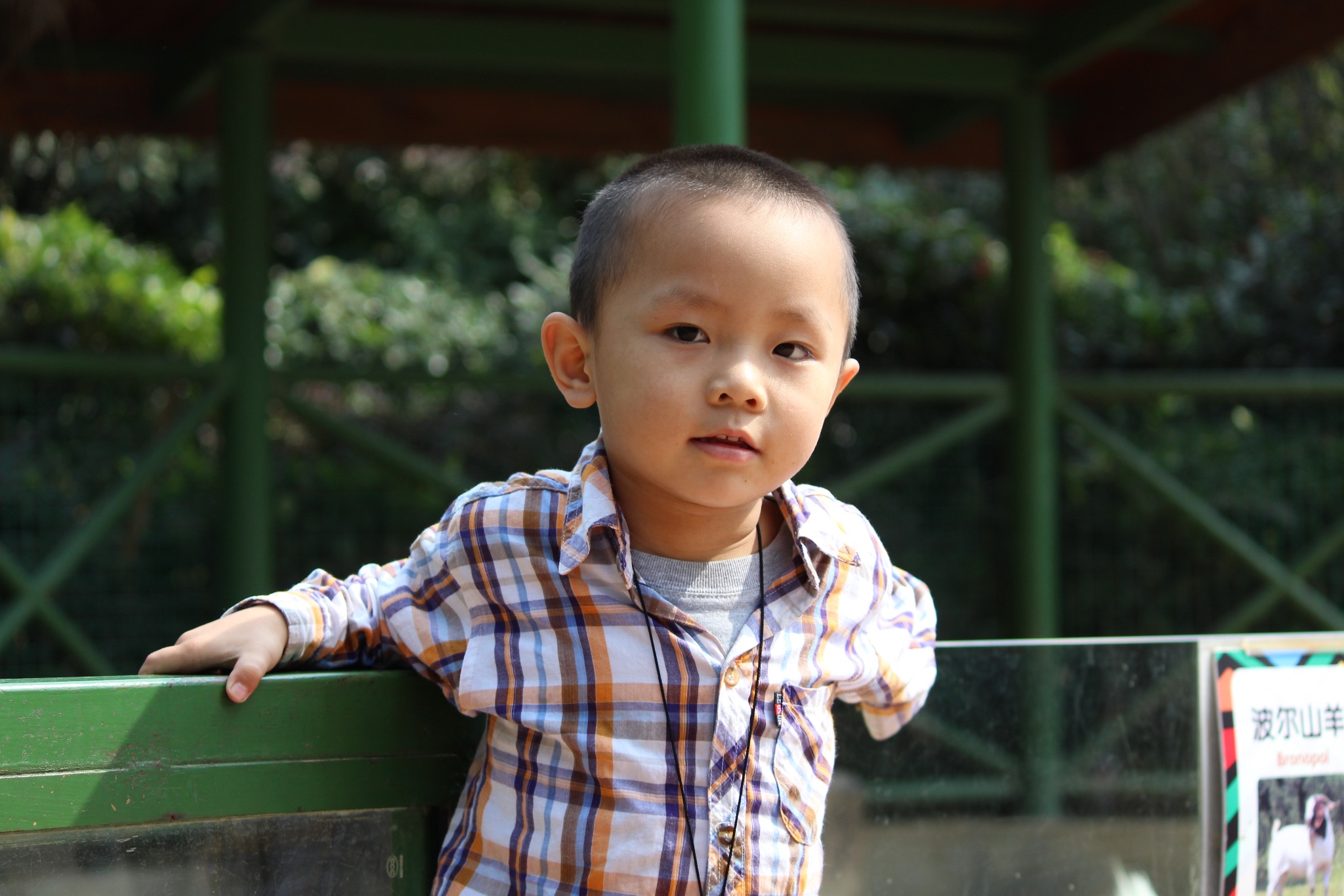 49d25c9ad1863c9f1b13524d401ae449