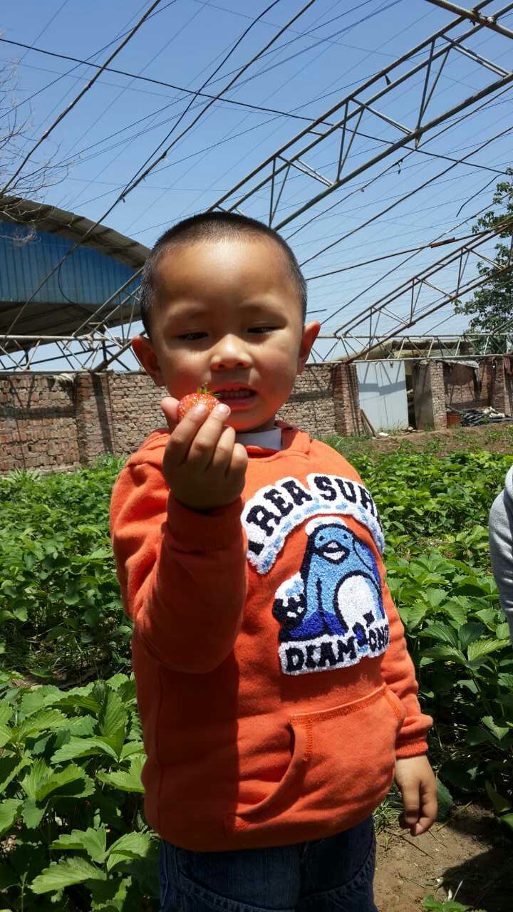 5f5ca55f2696640445f74f519c486a84