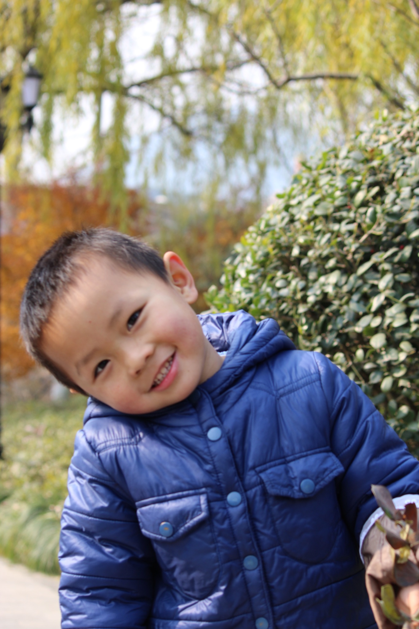 672226b354e11038a981b46662397045