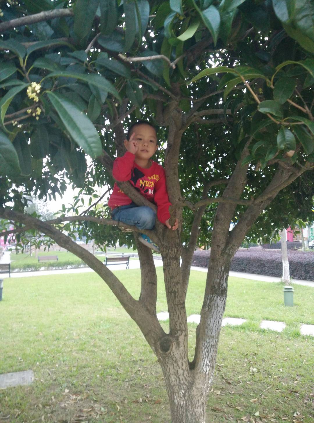 35fa13d23te80507a8d1afb1dd5156cc