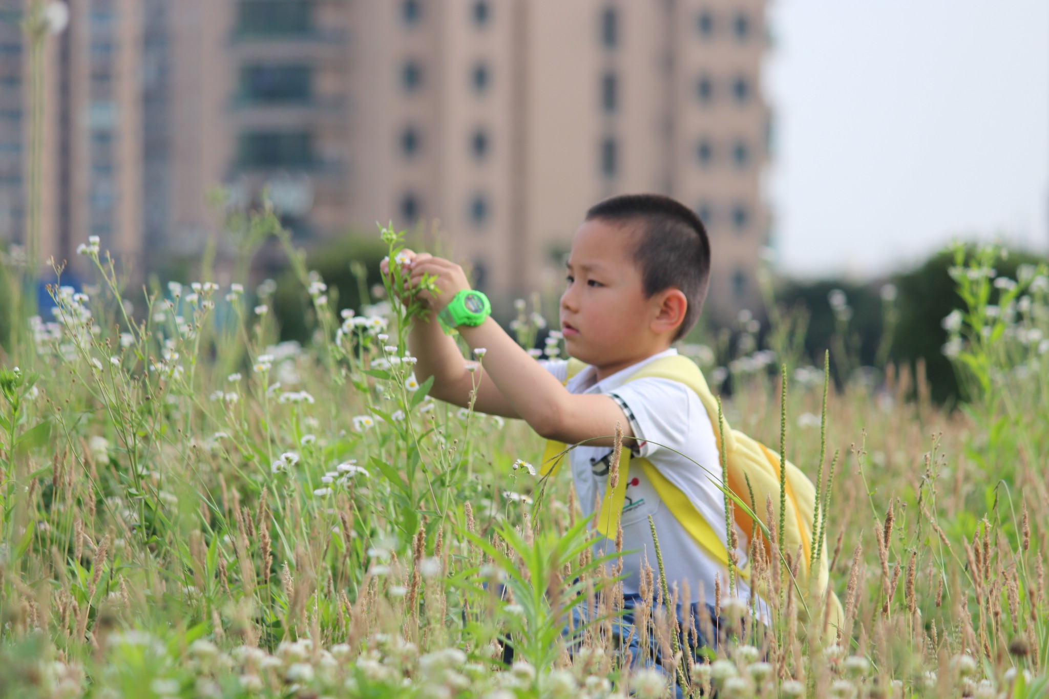 8f144ce7883b9d7ca8f34fa906d0bb9c