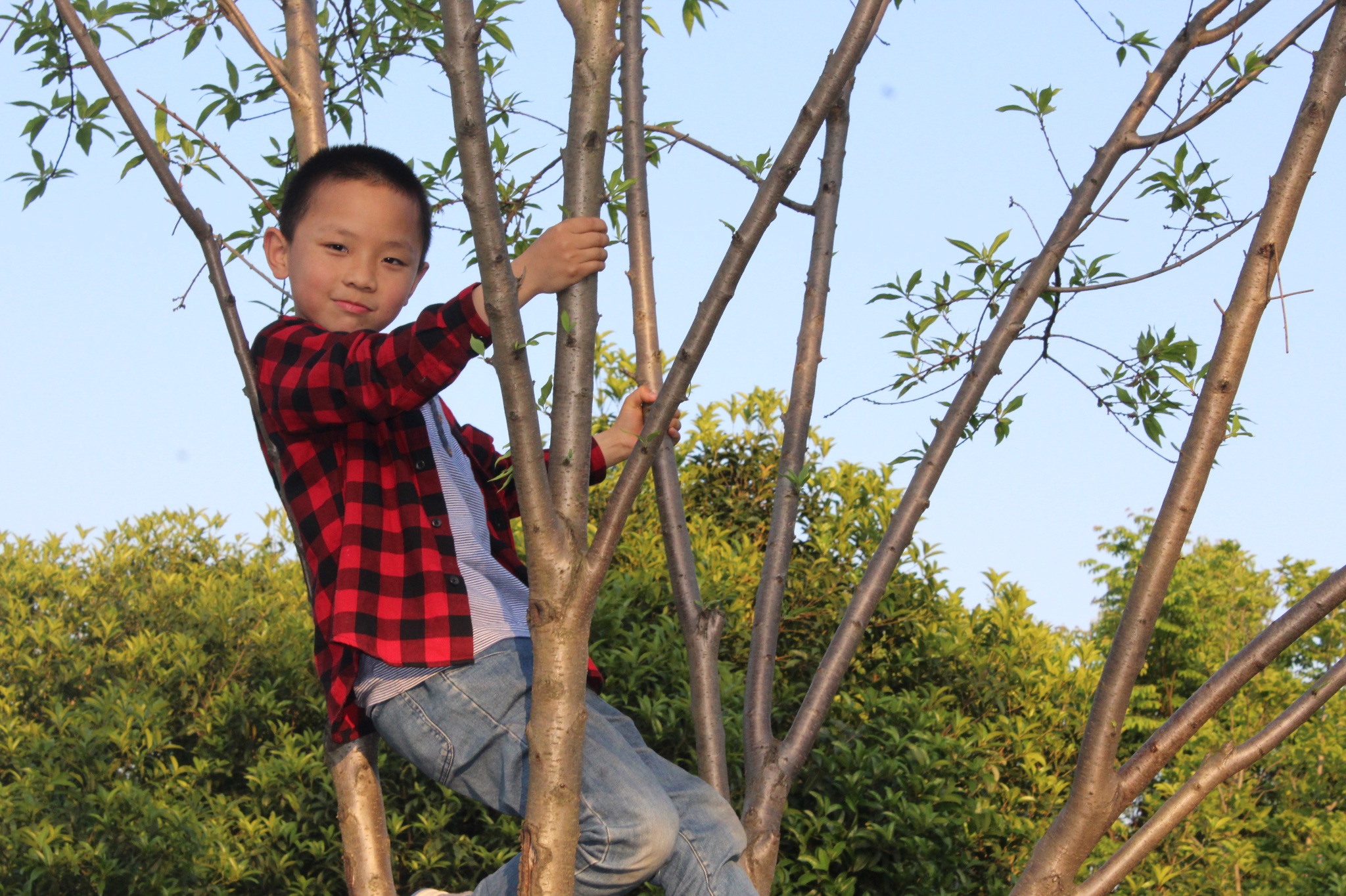 236b2bfab0aedc8f6a36be72eb0558fc